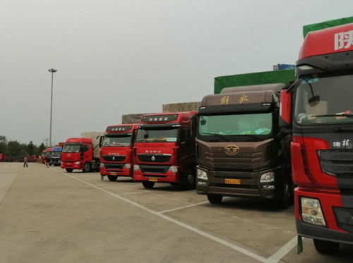 行业分散 货车司机严重缺失 中国货运业未来怎么干